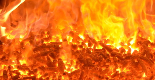 Combustion de rafles de maïs, photo Frédéric Douard
