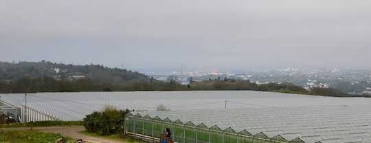 Les serres du Cosquer Saint-Jean à Plougastel, avec au premier plan un des ballons d'accumulation d'eau chaude, et à l'horizon la ville de Brest et le pont d'Iroise, photo Frédéric Douard