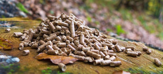 Wood pellets