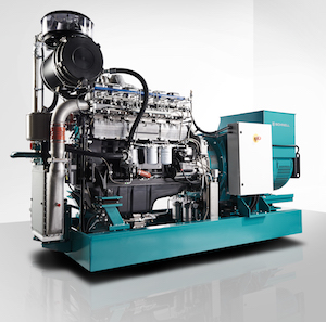 Cogénératrice Schnell 6r201b de 500 kW, avec 42 % de rendement électrique (210 kW) et 40 % de rendement thermique (200 kW)