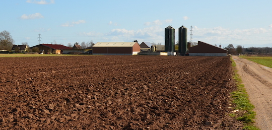 La ferme de l'Hirondelle à côté de l'unité de méthanisation Agrivalor à Ribeauvillé, photo Frédéric Douard