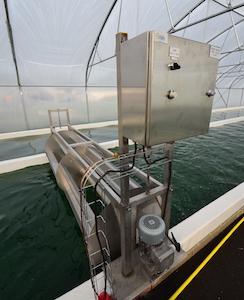 Roue à aubes du bassin à spiruline de Métha Ternois et fabriquée par AES Dana, photo Frédéric Douard
