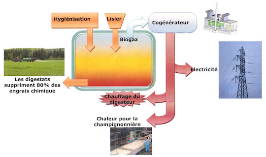 Schéma de principe des flux, crédit BioEnergie Touraine