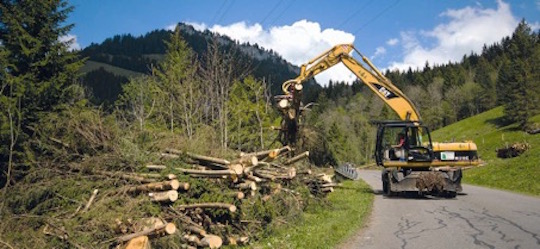 Récolte de bois à Entlebuch, photo  Aide Suisse aux Montagnards