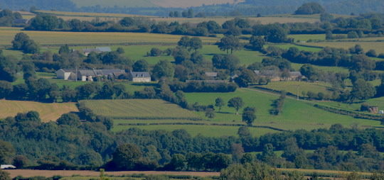 Création d’un Label Haie pour la gestion durable du bois issu du bocage