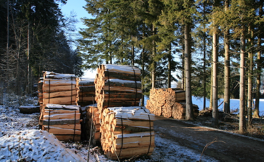 Crise énergétique : échange bois de chauffage contre entretien de la forêt