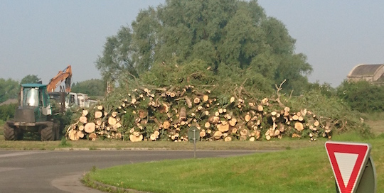 Ets Fichaux, entreprise de travaux forestiers portée par le bois-énergie