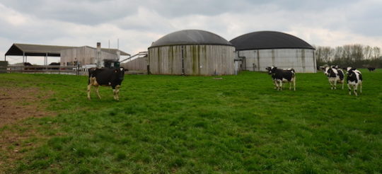 À Bellaing, la ferme du Panier de Quintine bâtit son avenir avec la méthanisation