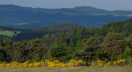 3 juin 2019, la nature, alliée des territoires pour s’adapter au changement climatique