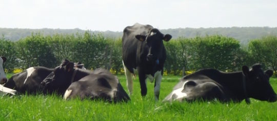 La ferme d’AgroParisTech injectera du biométhane  dans le réseau GRDF