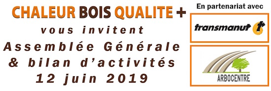 12 juin 2019, les évolutions de la norme internationale sur les combustibles bois