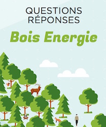 68 pages de questions et réponses sur le bois-énergie