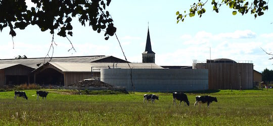 L’unité de méthanisation du Gaec laitier P2MN à Courtes dans l’Ain