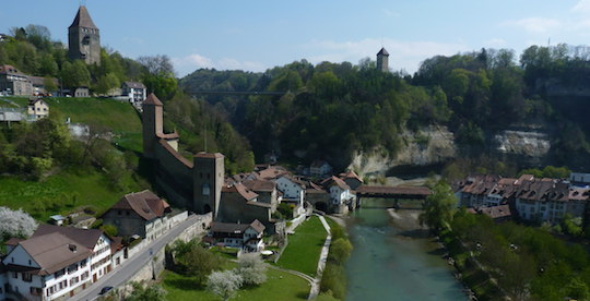 La Ville de Fribourg soutient ses propriétaires forestiers avec un nouveau réseau de chaleur au bois