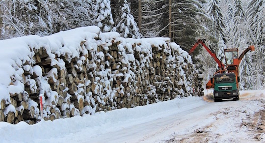 L’intérêt du bâchage papier des piles de bois-énergie en montagne