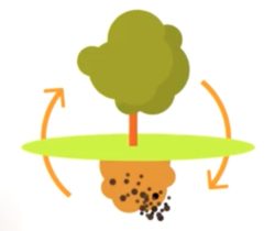 Que faire des cendres d’une chaufferie au granulé de bois  ?