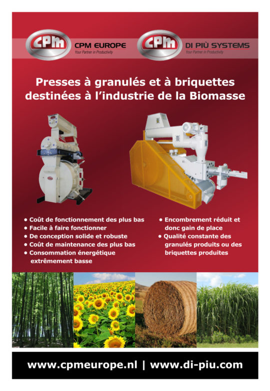 Choisir une presse professionnelle à briquettes de bois – MAGAZINE ET  PORTAIL FRANCOPHONE DES BIOÉNERGIES