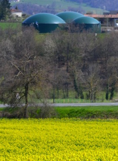 Quel cadre de durabilité pour la méthanisation agricole en France ?