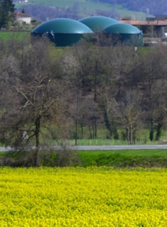 Quel cadre de durabilité pour la méthanisation agricole en France ?