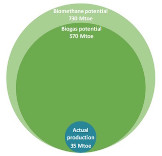 Le biogaz de biodéchets pourrait couvrir 20% de la demande mondiale de gaz