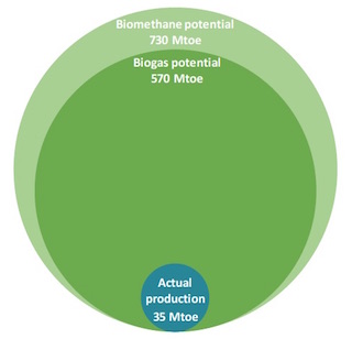 Le biogaz de biodéchets pourrait couvrir 20% de la demande mondiale de gaz