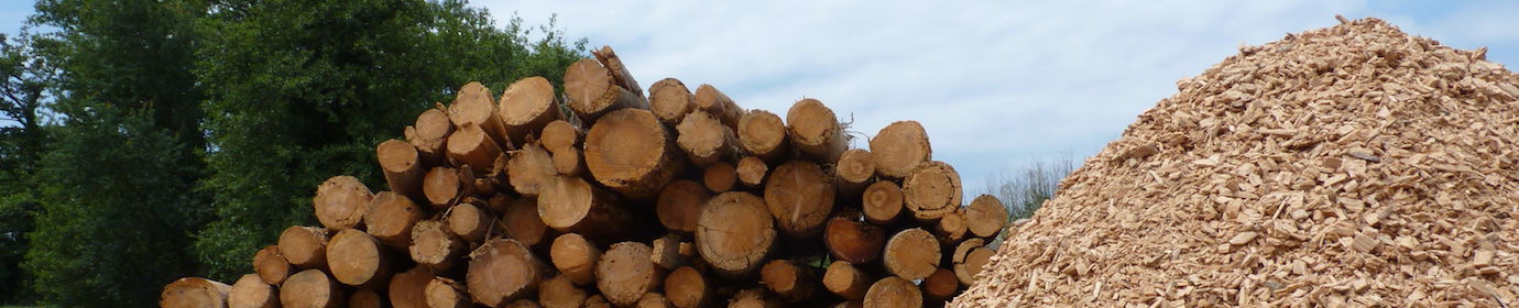 0017_Bois-énergie, photo Frédéric Douard