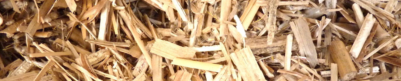 Plaquette de miscanthus, photo Frédéric Douard