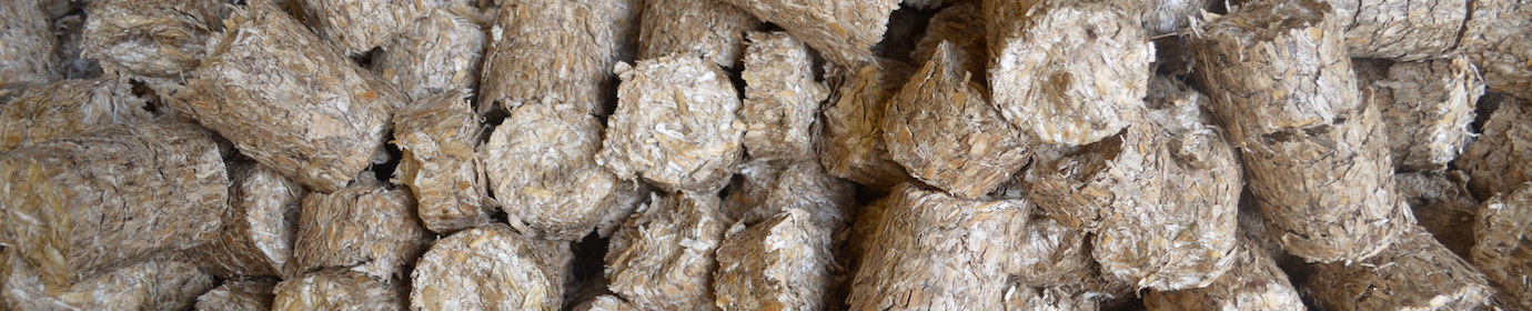 Mini-briquettes de miscanthus, photo Frédéric Douard