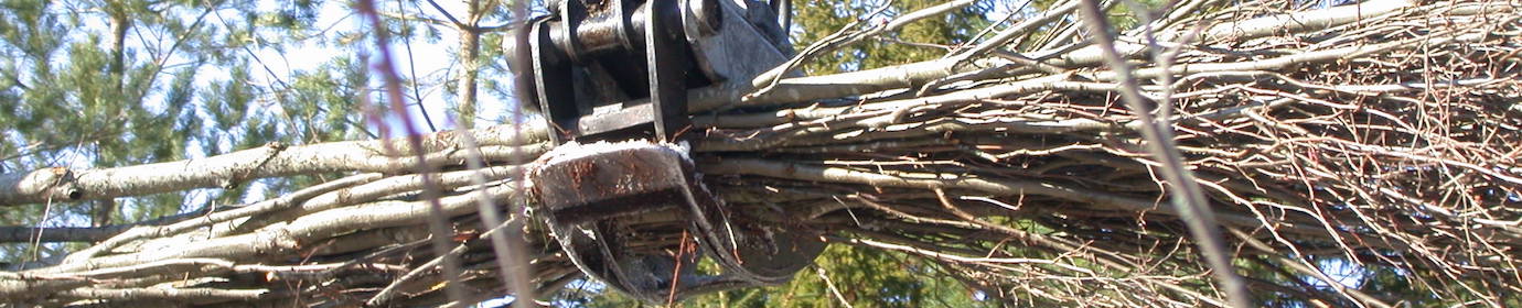 021_Manutention de perches de bous-énergie en Finlande