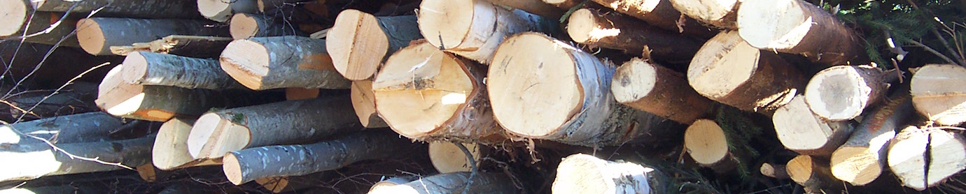 028_Perches de bois-énergie avant déchiquetage