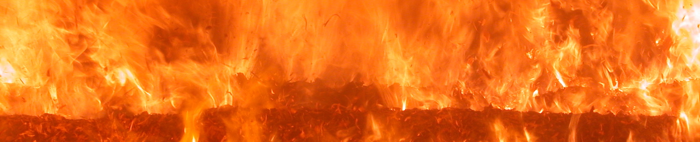 029_Combustion de bois déchiqueté sur grille mobile, photo Frédéric Douard