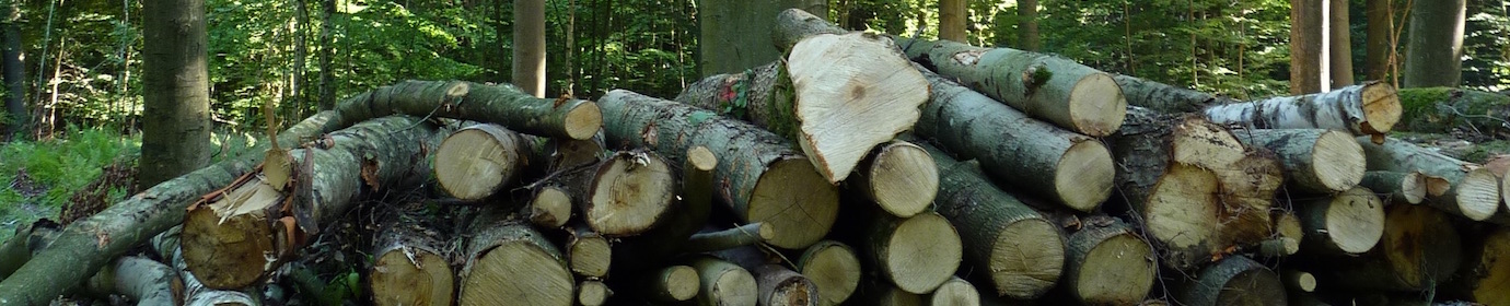 Entreposage de bois-énergie en forêt, photo Frédéric Douard