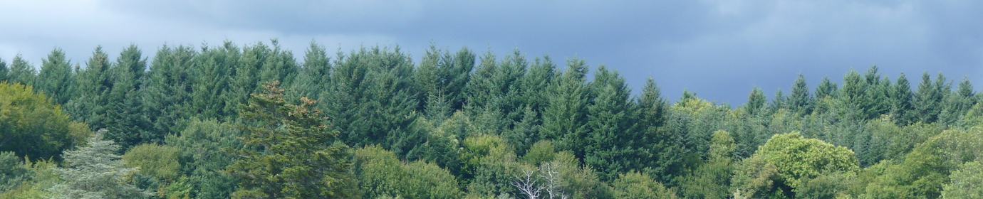 Horizon forestier dans le Jura, photo Frédéric Douard