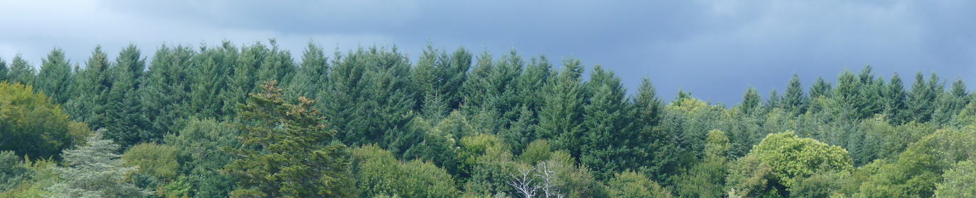 038_Horizon forestier dans le Jura, photo Frédéric Douard