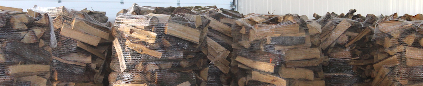 Séchage de bois bûche sur palettes, photo Segrafo