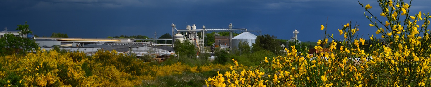 Usine de granulés d’Egletons, photo Frédéric Douard