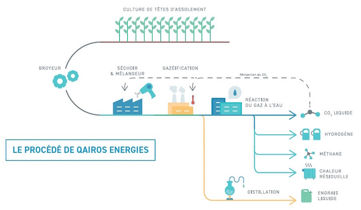 Du chanvre dans la Sarthe pour produire un hydrogène renouvelable et vraiment vert !