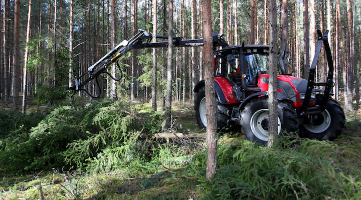 Pourquoi il faut couper durablement les forêts pour stabiliser le climat