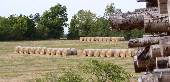 Bâtir un approvisionnement biomasse avec les big data d’OpenForêt