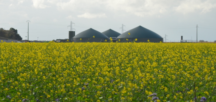 Magma Energy®, première centrale d’achats pour les producteurs de biométhane