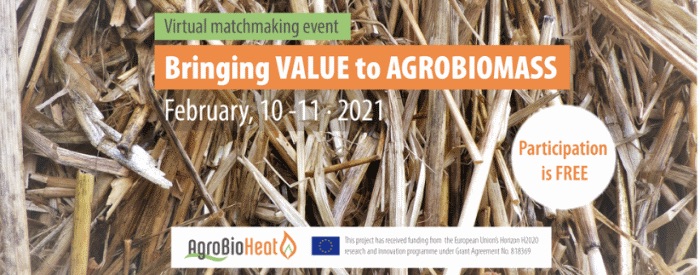 Rencontres B2B en ligne gratuite sur les agrocombustibles les 10 & 11 février 2021