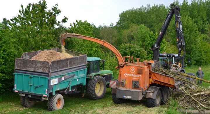 Etat de la filière bois-énergie bocagère agricole dans le Perche