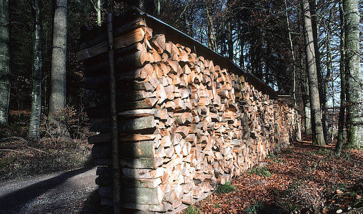 En Suisse, le bois-énergie est à la fois source d’emplois et de gestion durable des forêts