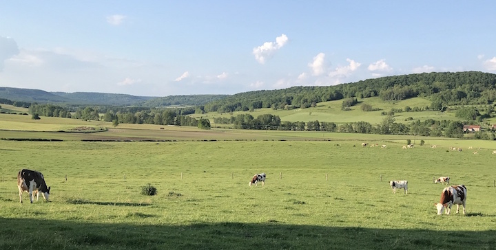 Succès record pour le financement participatif de l’unité de méthanisation du GAEC des Érables