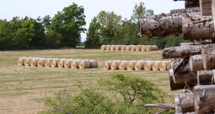 >> 30 avril 2022, Appel à Manifestation d’Intérêt biomasse en Normandie