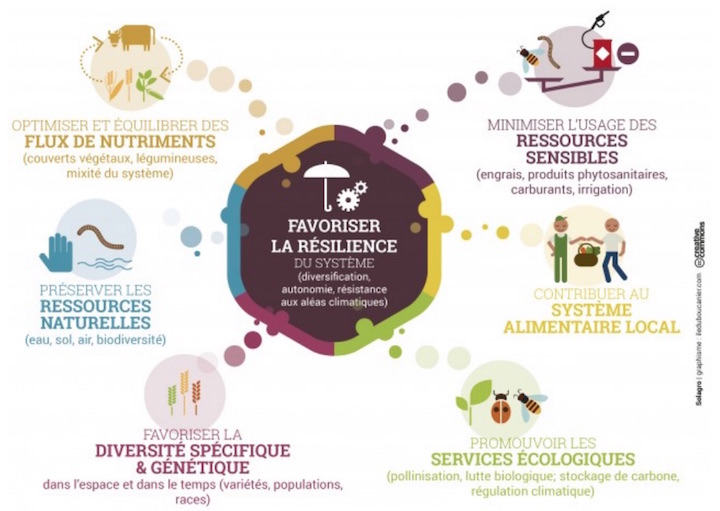 La méthanisation dans le mix énergétique français : enjeux, impacts et propositions