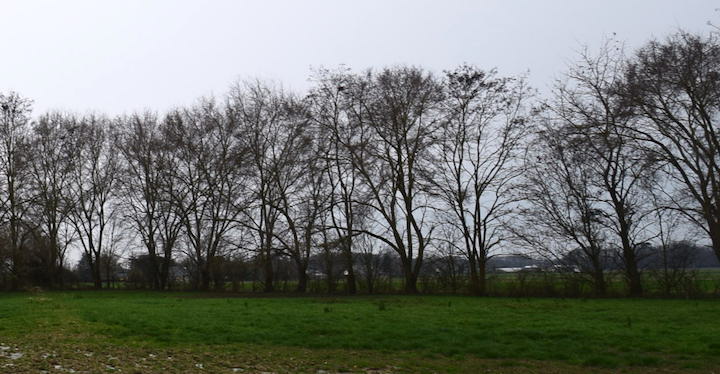 Agriculture de conservation et méthanisation à la ferme pédagogique Via Lactéa