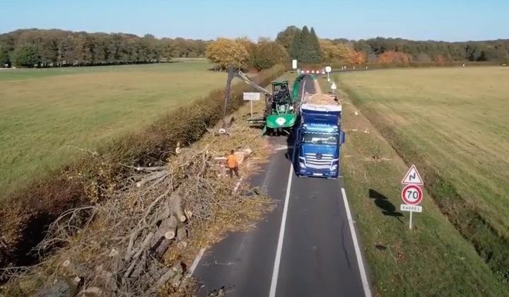 Chantier de valorisation énergétique d’arbres dépérissants en bord de route