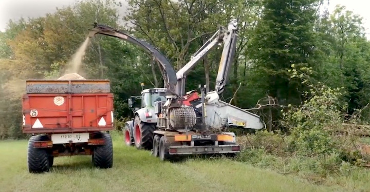 A Wirwignes, on entretient et pérennise le bocage du Boulonnais en se chauffant avec