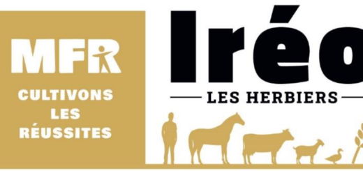 logo-societe